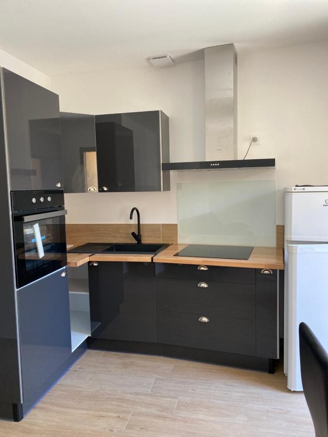 Appartements Neufs Avec Garages Dans Maison De Village Andance Exterior photo