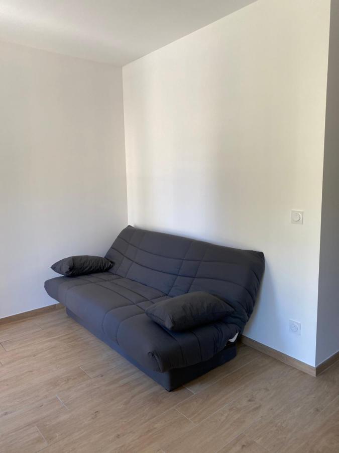 Appartements Neufs Avec Garages Dans Maison De Village Andance Exterior photo