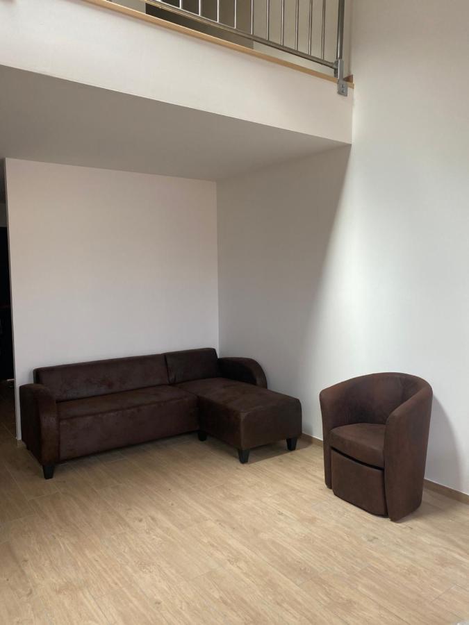 Appartements Neufs Avec Garages Dans Maison De Village Andance Exterior photo