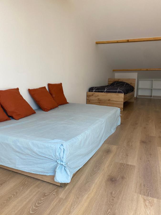 Appartements Neufs Avec Garages Dans Maison De Village Andance Exterior photo